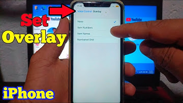 How to Set Overlay in Voice Control on iPhone X