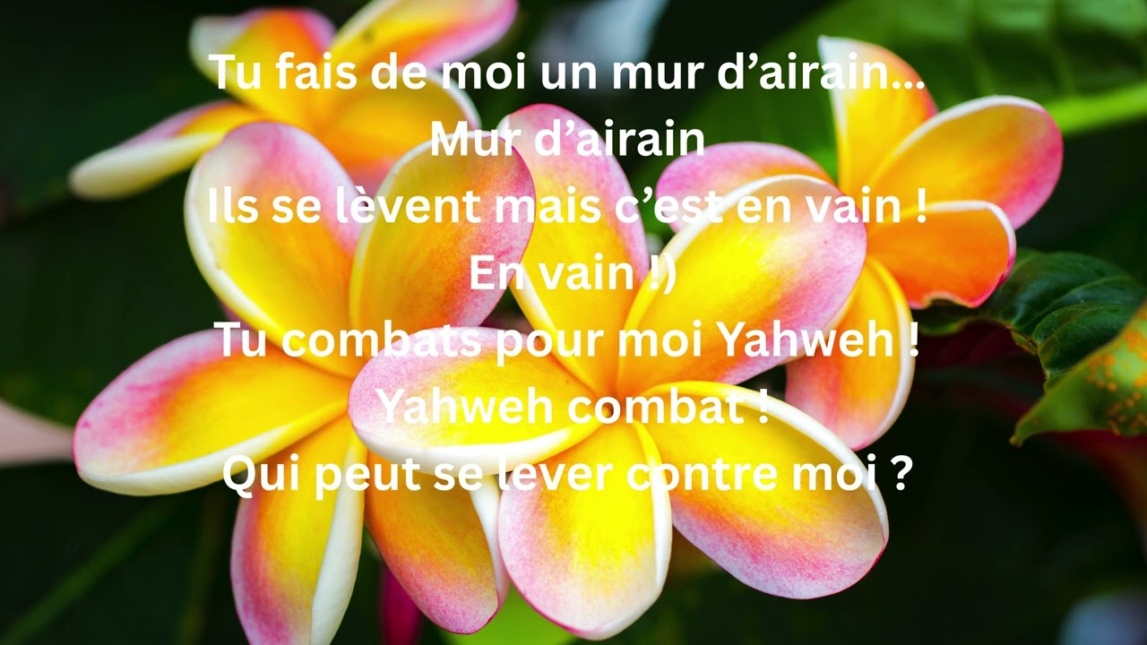 Dieu Combat Pour Moi