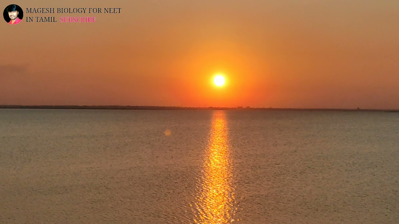 chembarambakkam lake sunset