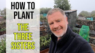 Brilliant Idea for Small Growing Area. How to plant The Three Sisters. What Are The Three Sisters?