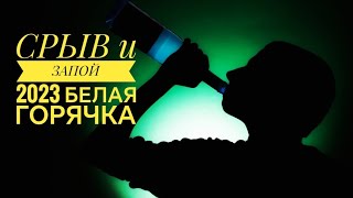 ЗАПОЙ 2023 | БЕЛАЯ ГОРЯЧКА | КОМА | КЛИНИЧЕСКАЯ СМЕРТЬ | ЭПИЛЕПСИЯ #зависимость #алкоголизм