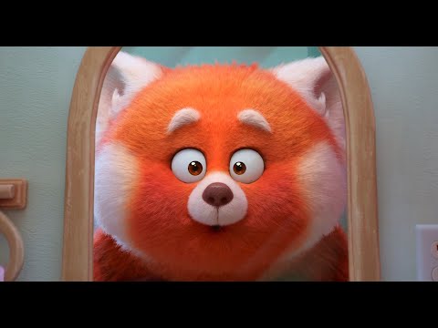 წითელი პანდა ქართულად | witeli panda qartulad