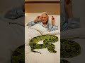 A Person Sleeping Peacefully With a Giant Snake | Relaxing & Surprising Bed Scene! #treandingshorts