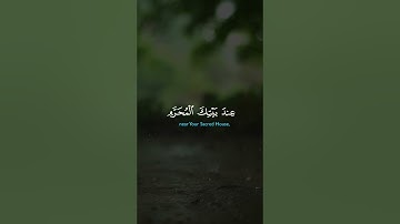 اجمل تلاوة #ياسر_الدوسري #قرآن #quran #تلاوة_خاشعة #حالات_واتس  #اكسبلور #فولو #لايك #تيك_توك #دويتو