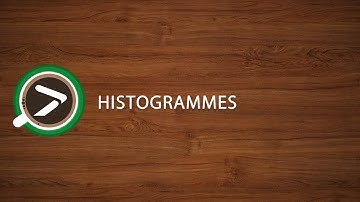 #04 Histogrammes dans Excel avec XLSTAT