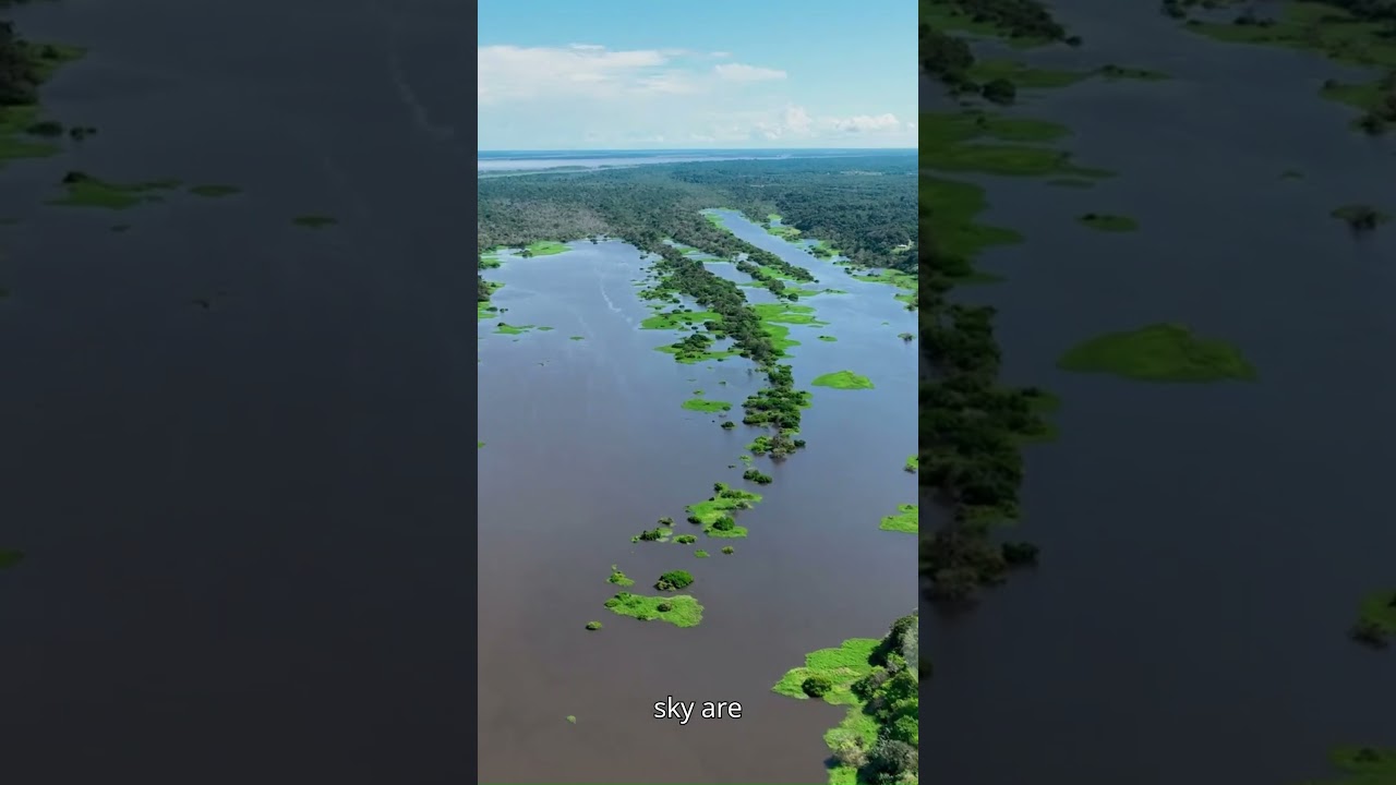 🌳Amazon’s Sky Rivers:How the Rainforest Powers Global Climate🌧️🌍| Planet & People Chronicles