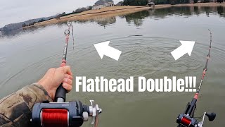 Using Livescope with Winter Flathead Catfish