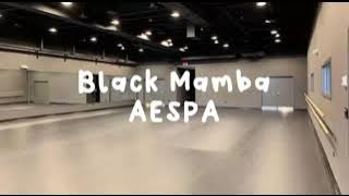 Black Mamba - AESPA [Empty Dance studio ver]