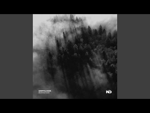Boehmerwald (Extended Mix)