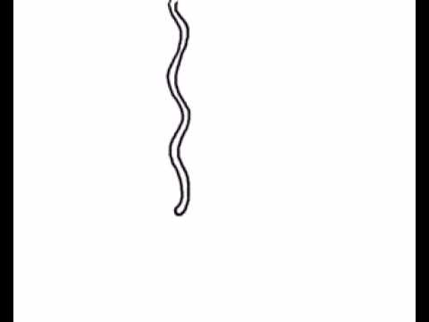Blob animation