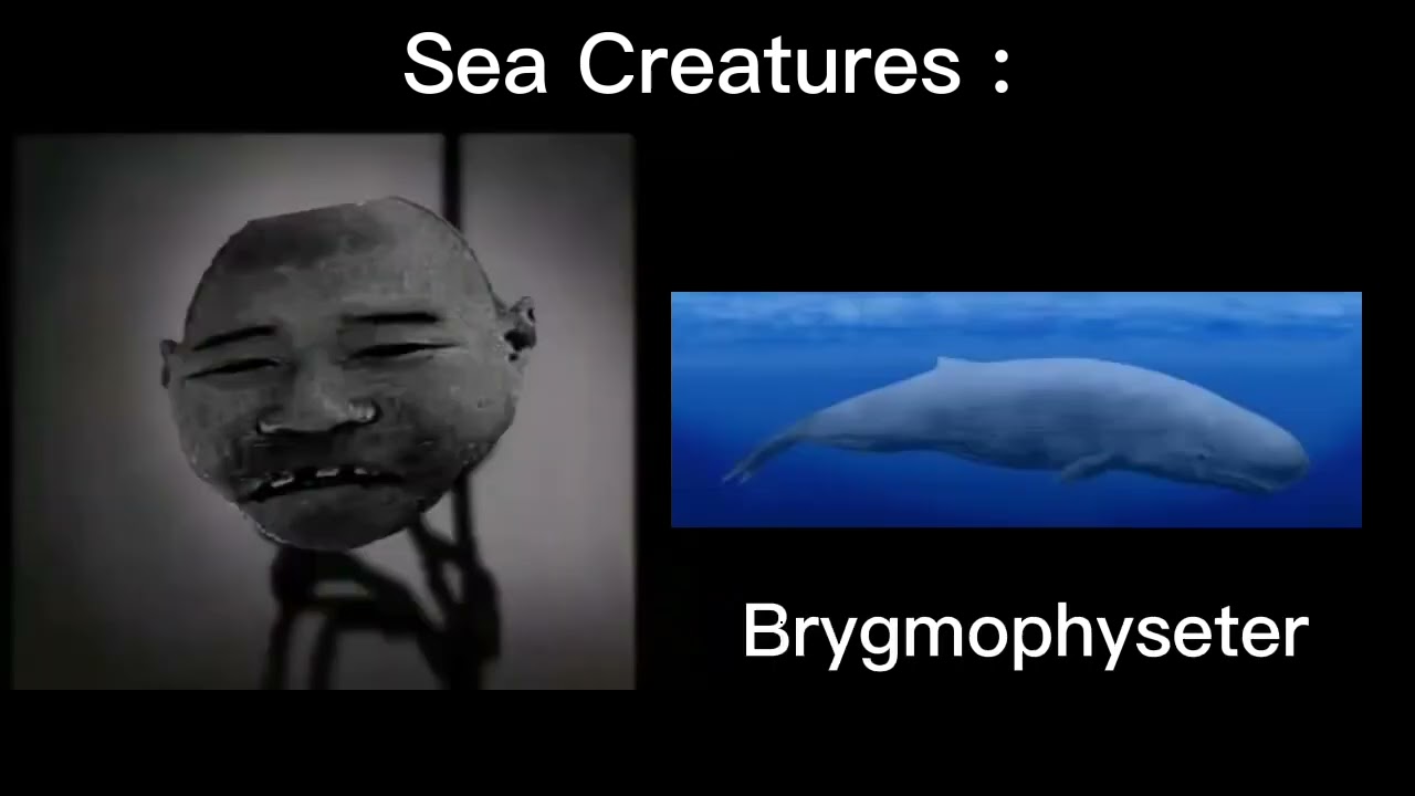 Chinese Eggman Becoming Uncanny Extended Sea Creatures :