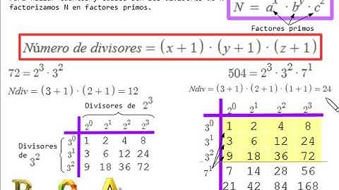 Lenguaje C (Divisores de un número)