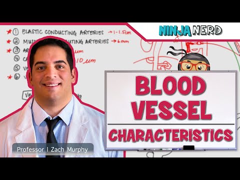 Video: Why Do You Need Ultrasound Of Blood Vessels