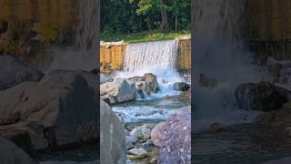 📍Grandpa Falls, St. Thomas #shorts #Jamaica #waterfalls #GrandpaFalls #StThomas #River #Riverday