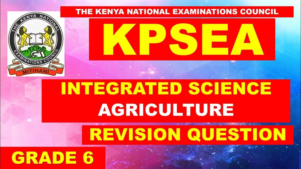 Understanding Cbc Curriculum In Kenya