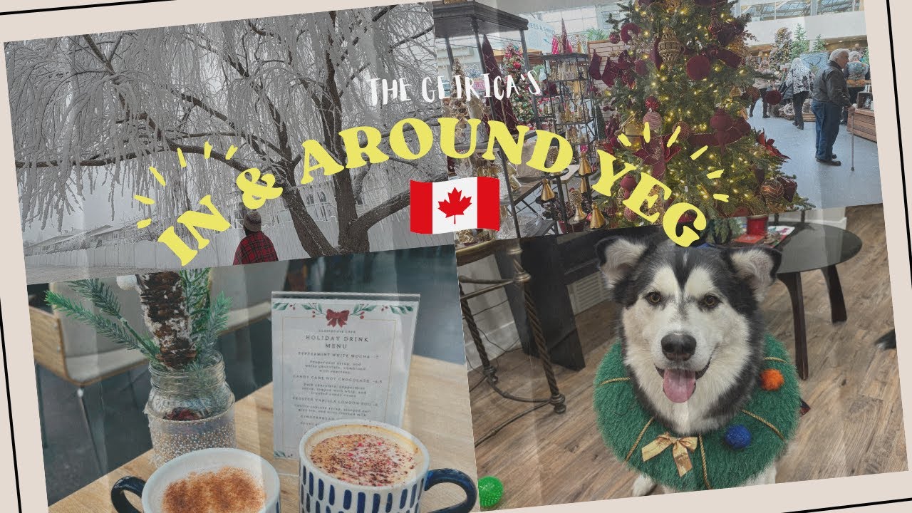 December Frosty Days| Holiday Eats| Christmas Garden