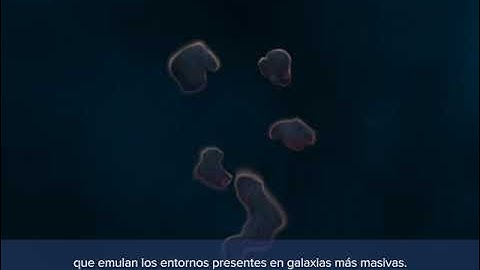 Animation WLM Spanish