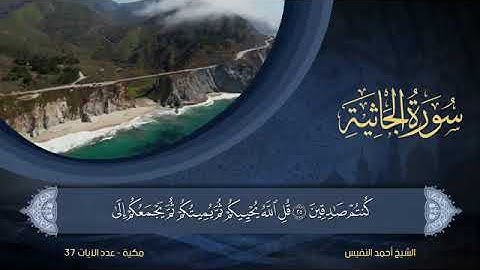 سورة الجاثية مكتوبة للشيخ أحمد النفيس / المصحف المرتل كاملا