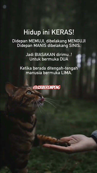 Story WA 30 Detik terbaru!!Muka DUA #storywa #katakatahariini #shorts