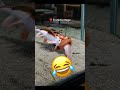 #viral #videoviral #videoviralyoutube #follow #youtubeshorts #stories