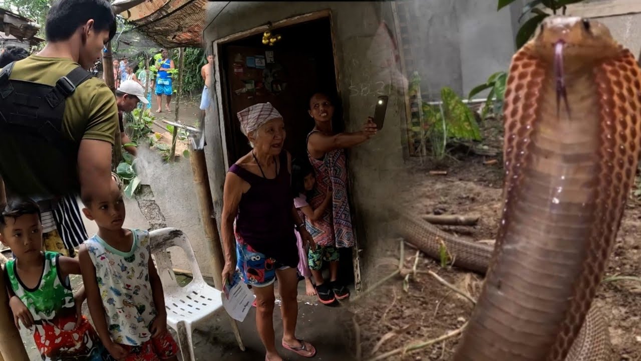 BAHAY NANG MATANDA PINASOK NG COBRA