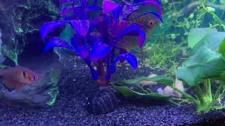 🔴Spiritual Warfare | When Facing Satanic Attack! Net Worth