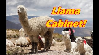 The Llama Display Cabinet