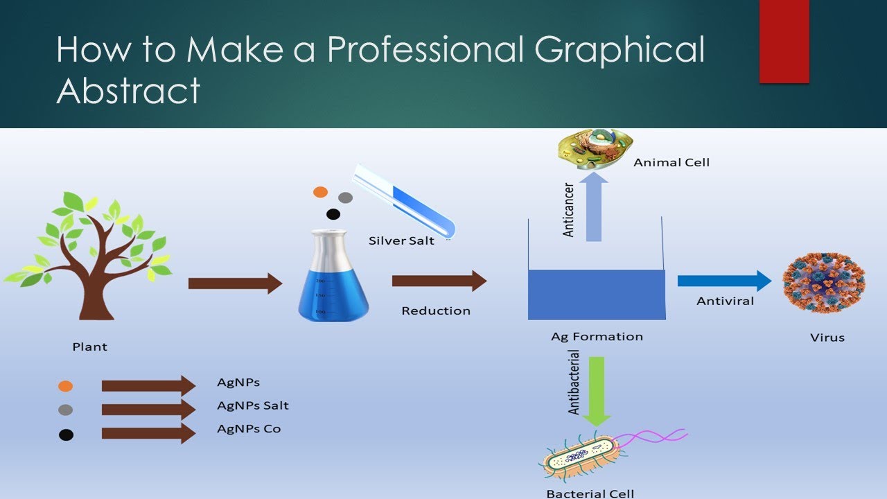 make graphical abstract