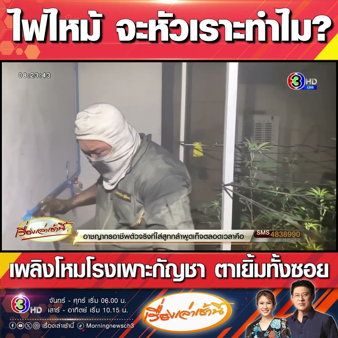 ไฟไหม้ จะหัวเราะทำไม? เพลิงโหมโรงเพาะกัญชา ตาเยิ้มทั้งซอย