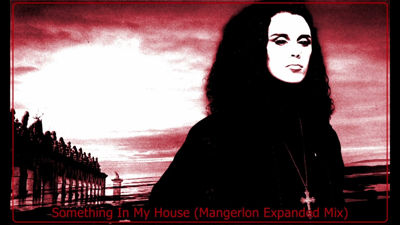 Dead Or Alive - Something In My House (Mangerlon Expanded Mix)
