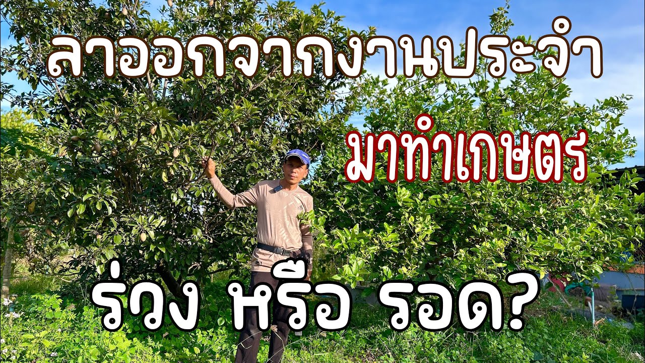 Бросил свою основную работу, чтобы стать фермером... Как выжить?... Как подготовиться?... Что саж...