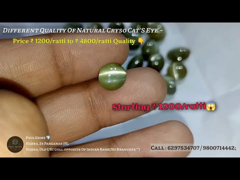 All About cat's eye Stone Use & Benefits || Different quality cryso cats eye Starting ₹