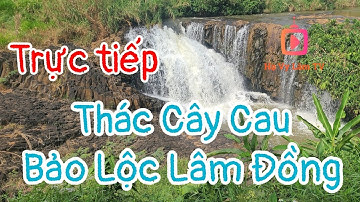 Thác Cây Cau Bảo Lộc#havylamtv