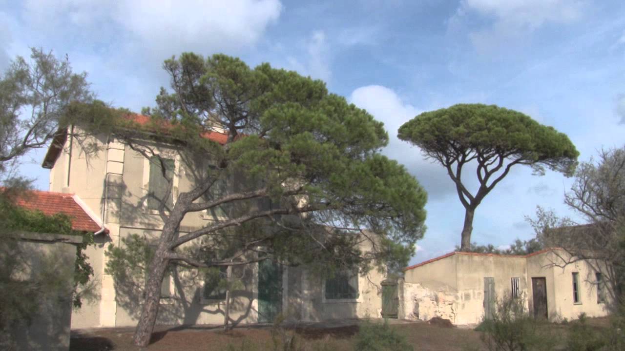 Terre du bout du Rhône