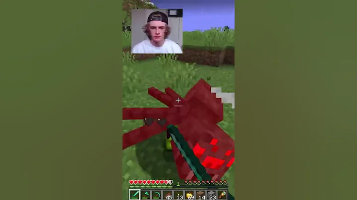 Minecraft: The ONLY Way To Kill A Warden!?