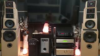 Mark Levinson N390S