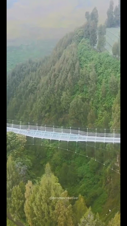 story wa jembatan kaca Seruni point gunung bromo (mountain east java) Kab.Probolinggo jawatimur2022