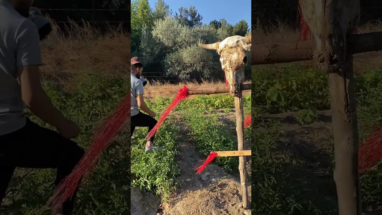 رح اروح مع امي ع البقجة مشان تصلحلي البسكليت😅🫣خليل وعلاء