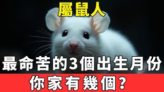 十鼠九苦，屬鼠人“最命苦”的3個出生月份，你家有幾個？#富貴臨門#生肖 #運勢 #風水 #財運  #生肖運勢 #生肖運程 #運勢 #預言