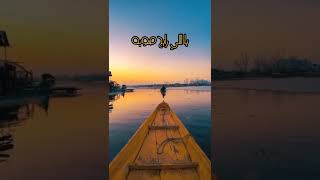 يا اللي رايح صوبه حمزة ابو قينص..