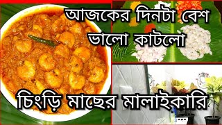 অনেকদিন পর বাইরে গেলাম ||সঙ্গে থাকছে চিংড়ি মালাইকারি || Prawn Malaikari Recipe