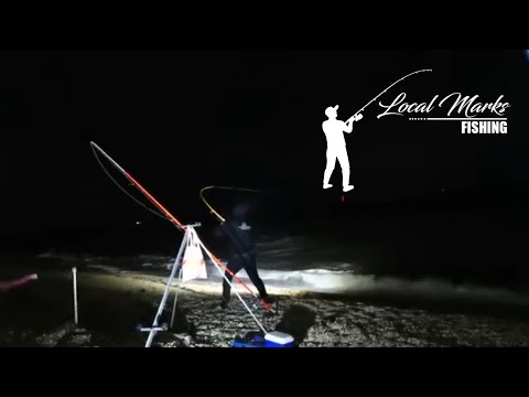 Shore Fishing. Incredible