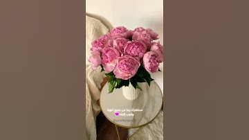 القارئ:فارس عباد سورة النصر