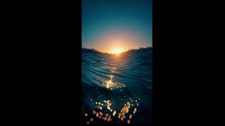 Download Lagu SURF MUSIC - SUNSHINE MP3 Download Lagu SURF MUSIC - SUNSHINE MP3
