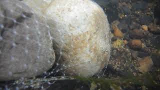 Example Rock Packs Deployed in a Stream