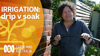 Irrigation essentials drip versus soak Gardening 101 Gardening Australia