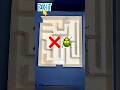 Giant Black Cockroach vs Mini Maze – Can It Escape