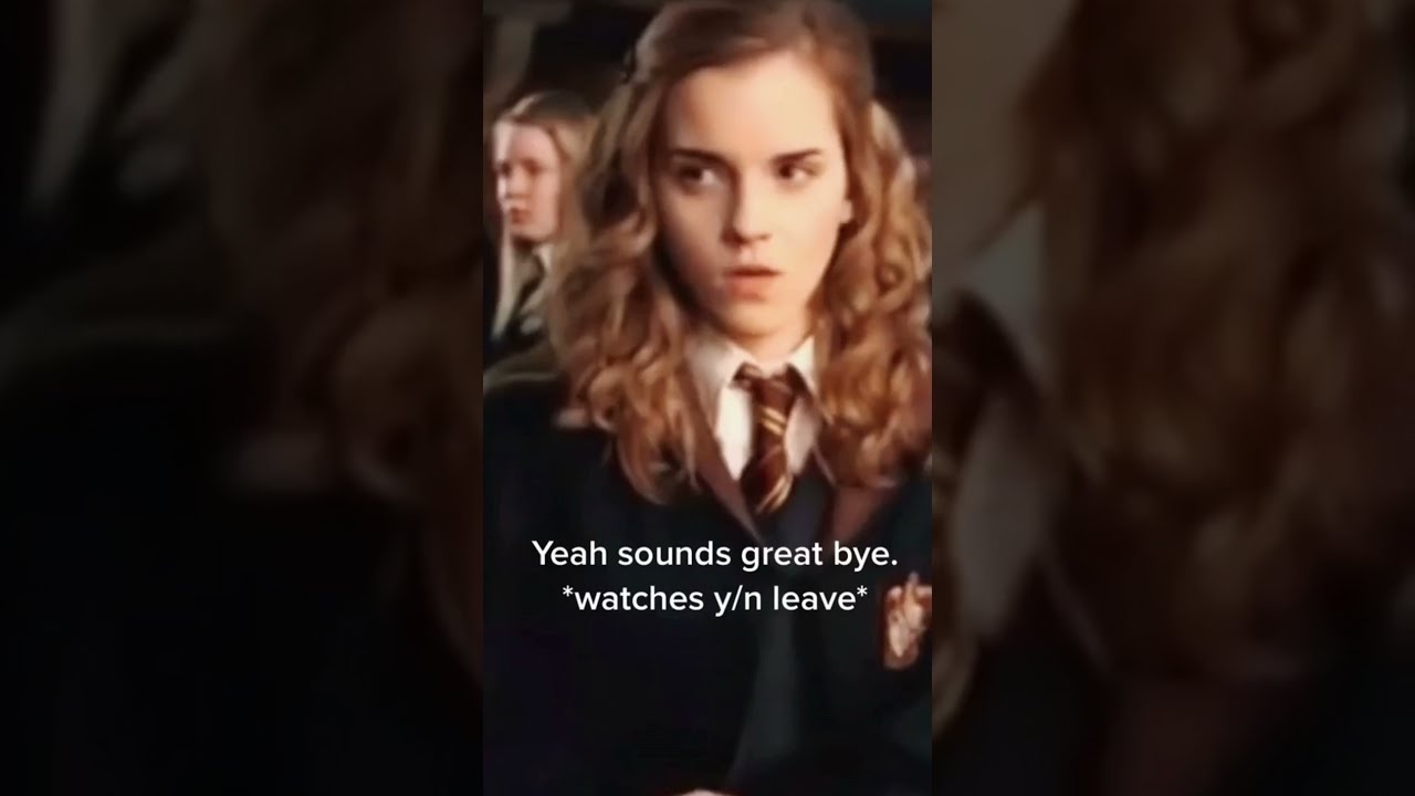Hermione Granger x y/n "OUR LOVE STORY" part 1