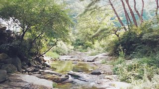 양평산수화펜션(2018)