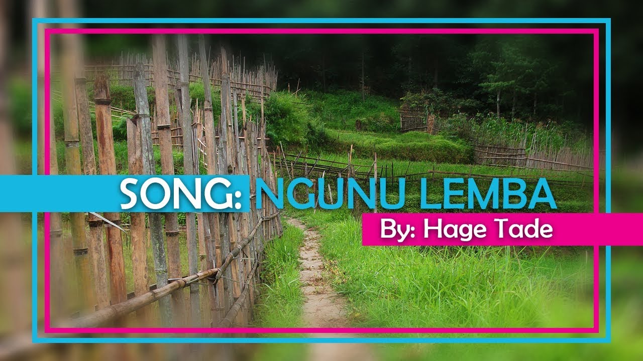 Ngunu Lemba - Hage Tade | Apatani music video with lyrics |